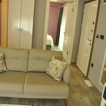Hotel de apartamente X *